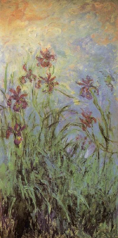 Claude Monet Lilac Irises